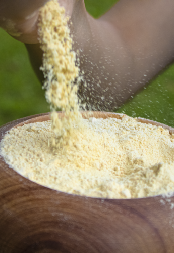 Proteína Isolada